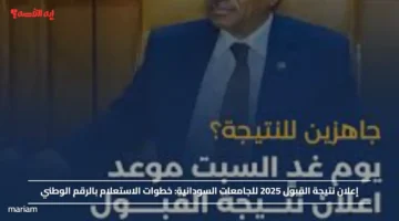 إعلان نتيجة القبول 2025 للجامعات السودانية.. خطوات الاستعلام بالرقم الوطني